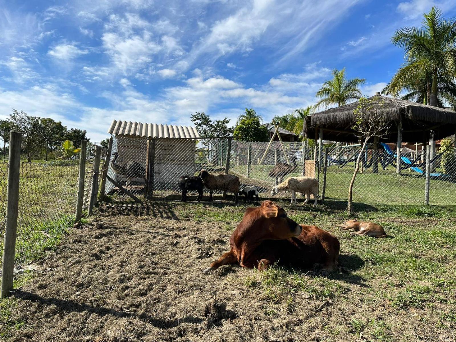 La Palma Hotel Fazenda Indaiatuba Εξωτερικό φωτογραφία